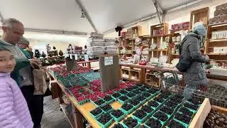 Noel gh&eacute; Wilson Farm/ Christmas at Wilson #WilsonFarm#LexingtonMA#ChristmasMood#NoelMy
