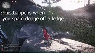Where Winds Meet bug 1