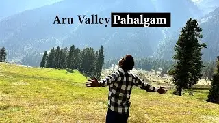 Aru Valley Kashmir | Switzerland of India  #exploreindia #travel #kashmirvalley #viralvideo