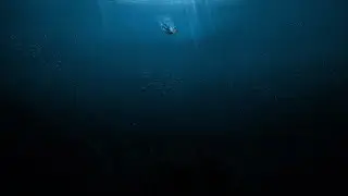 Deep Dive - Falmouth University (2023)