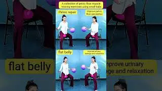 Pelvic Floor Muscle Training Exercises with Small Ball | Easy Home Workout #shorts #shortsfeed #yoga