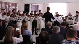 Orchestra 