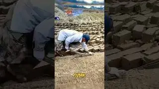 Pembuatan bata di china yang masih menggunakan cara tradisional #satisfying #amazing #china #shorts