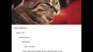 Cat rock n roll meme