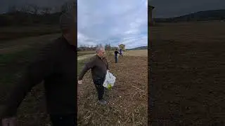 Abono verde en Perales de Taju&ntilde;a para cooperativa Bah!