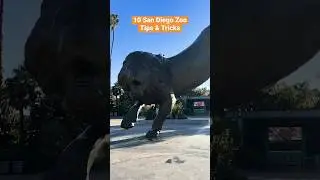 10 @SanDiegoZoo Tips & Tricks in San Diego
