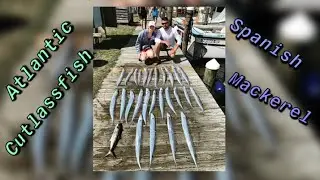 Catching RIBBON FISH in the Outer Banks !