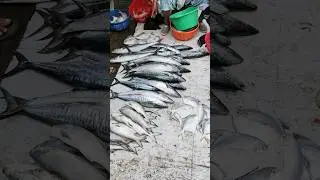 fish Market Thane - Kopari 🐟 #fish #fishvideo #shortsfeed