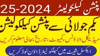 New Pension Calculator 2024 25 Punjab, Sindh, KP, Balochistan, Federal, AJK and GB