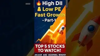 Top 5 Stocks with High DII 💰 Low PE 🔥 Fast Growth 📈  Watchlist for Retail Investors 2025 - Part-1