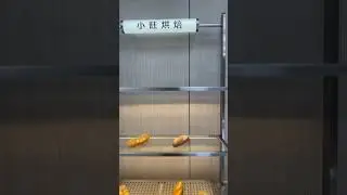 Bakery store design