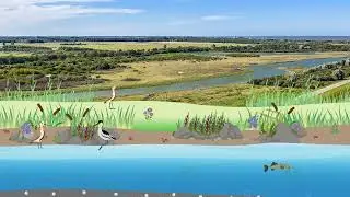 Animatie effect getijdengebied (Getijdenduiker Dijkversterking Lauwersmeer Vierhuizergat)