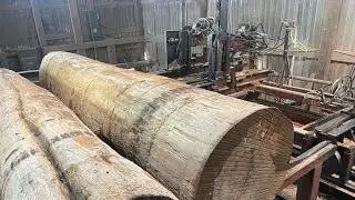 Sawing and Stacking Beech RailRoad Ties! #99