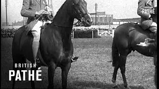 The Great Yorkshire Show (1930)