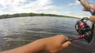 Shore Fishing WALLEYE on Wisconsin River