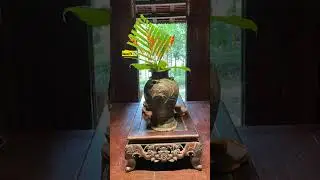 5 Museum must Visit in Da Nang Vietnam #shorts #danangvietnam #museumvlog