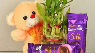 Whatsapp status video || new teddy  bear status || New whatsapp status video #teddybear #teddyshorts