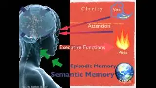 Prashanti Herb Journals: The 123s of Improving Cognitive Function