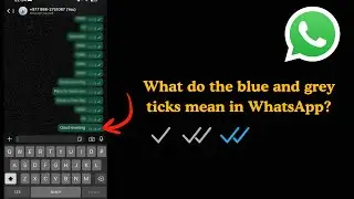 Что означают синие и серые галочки в WhatsApp?