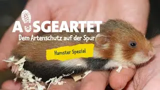 AUSGEARTET Hamster Spezial - Folge 1