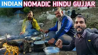 खतरनाक जंगली रास्तों से होते हुए पहुँच ही गया 🙂 Going To JUNGLE for Night camping with Shepherd's 