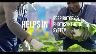 PROVEDA&rsquo;S PRO AGRO RANGE   PROVEDA INDIA MKT  PVT  LTD