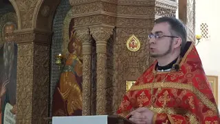 2017-05-14 Проповедь о. Алексея Волчкова в нед. о самарянке (Ин 4, 5-42):