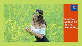 Soothing Sounds for Spring Awakening💖Relaxing Music for Spring by relaxation music cloud🎧💖💖💖