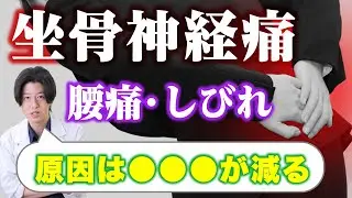 坐骨神経痛は動かないことで起こる｜40代以降に増える本当の理由