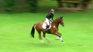 Bundeschampion 2015 5-j. Geländepferde Michel