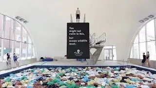 SEA SHEPHERD | TRASHPOOL