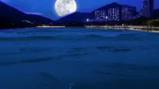PEACEFUL BEACH ATMOSPHERE🌊😴 Gentle Ocean Sounds Soothing Waves For Meditation