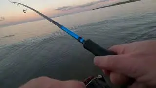 Sea Trout hit - 3lb 10oz. Larne