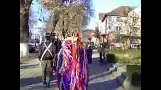 Dubasii din Bunea Mare la Sediu PSD si Primaria  din Faget