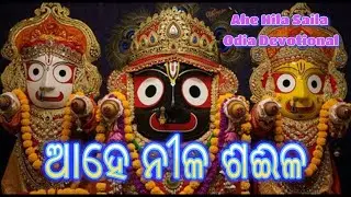 Oriya Devotional Song | Aahe Nila Saila | Odia Bhajan | Lord Jagannath Bhakti