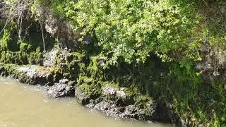 MO State Parks Summer 2020