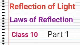 Reflection of Light Class 10 | Laws of Reflection Class 10 | Basics of Reflection of Light
