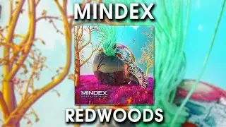 Mindex - Redwoods