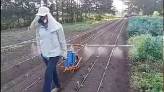 Carriola Pulverizador Manual Knapik