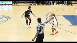 CHICAGO BASKETBALL - Whitney Young (Lady Dolphins) vs Phillips (Lady Wildcats)