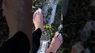 I WALKED A MILE BAREFOOT IN SNOW