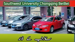 Southwest University visit and Scholarship benefits #china #chongqing #scholarships