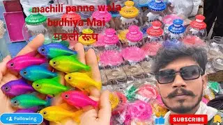 मछली पालने का और क्रीमMachhali paalne ka aurcream#viral #video #vlog #fishing #machhali #post #funny
