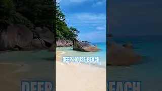 THIS VIBE... YOU NEED IT NOW! 🏖️ Deep House