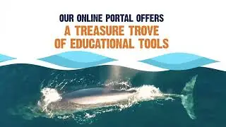 Marine Education Resources!