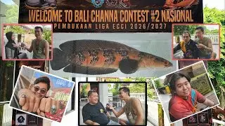 ADA APA Di BALI Channa Contest❓❓❓