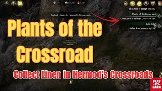 Collect Linen in Hermod&rsquo;s Crossroads! Plants of the Crossroad Full Quest Guide | Legend of Ymir