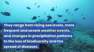 Global Warming Awareness