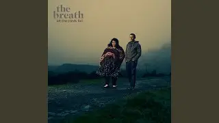 Let The Cards Fall