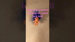 #goodluck #cutepets #fish #dog Some of my pets reacting to a good luck troll